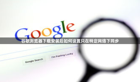 谷歌浏览器下载安装后如何设置只在特定网络下同步1
