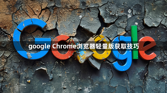 google Chrome浏览器轻量版获取技巧1