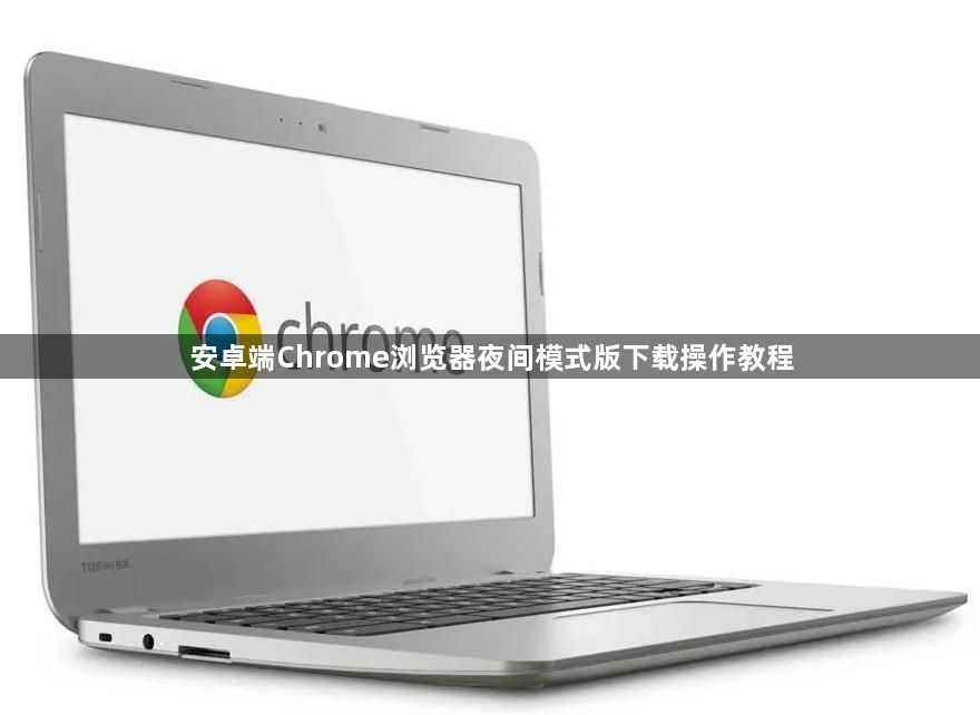 安卓端Chrome浏览器夜间模式版下载操作教程1