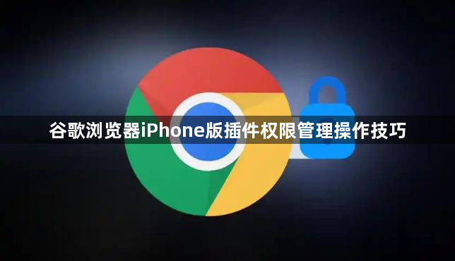 谷歌浏览器iPhone版插件权限管理操作技巧1