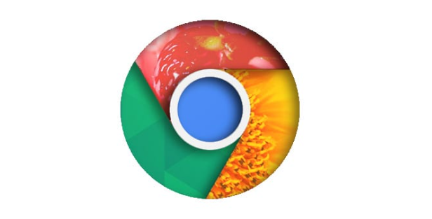 google浏览器安全下载包获取和使用方法