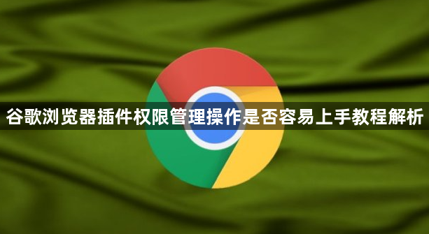 谷歌浏览器插件权限管理操作是否容易上手教程解析1