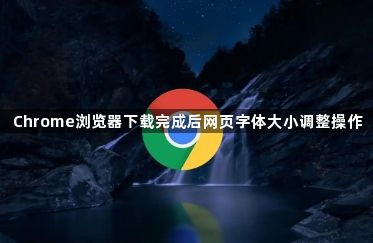 Chrome浏览器下载完成后网页字体大小调整操作1