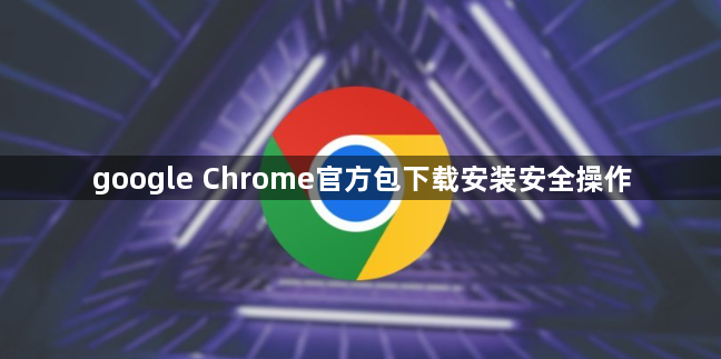 google Chrome官方包下载安装安全操作1