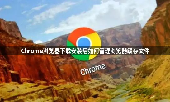Chrome浏览器下载安装后如何管理浏览器缓存文件1