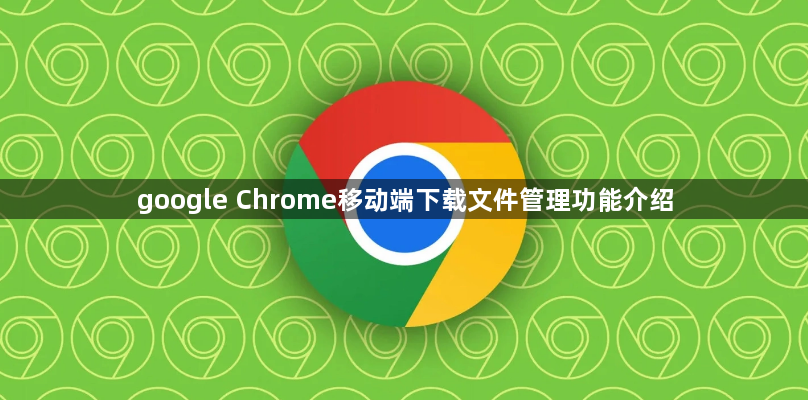 google Chrome移动端下载文件管理功能介绍1