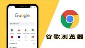google Chrome浏览器安全插件安装操作教程