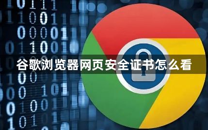 谷歌浏览器网页安全证书怎么看1
