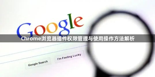 Chrome浏览器插件权限管理与使用操作方法解析1