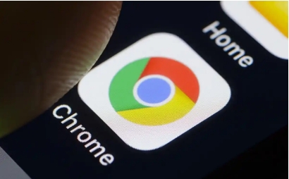 google浏览器怎么为企业特定内网域名开启免检测极速通道