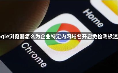 google浏览器怎么为企业特定内网域名开启免检测极速通道1
